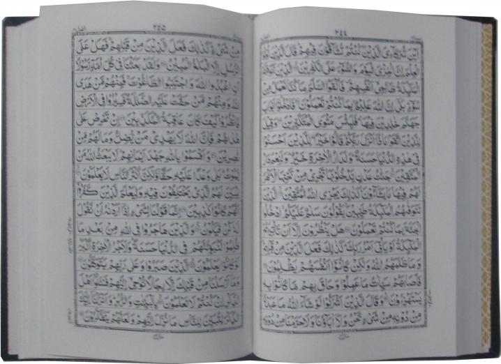 75K Holy Quran 16 Line Single Color
