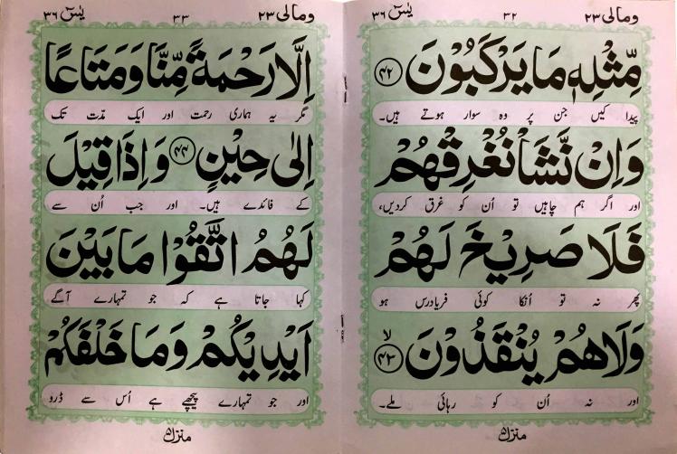 282C Surah Yaseen Translated 64 Pages