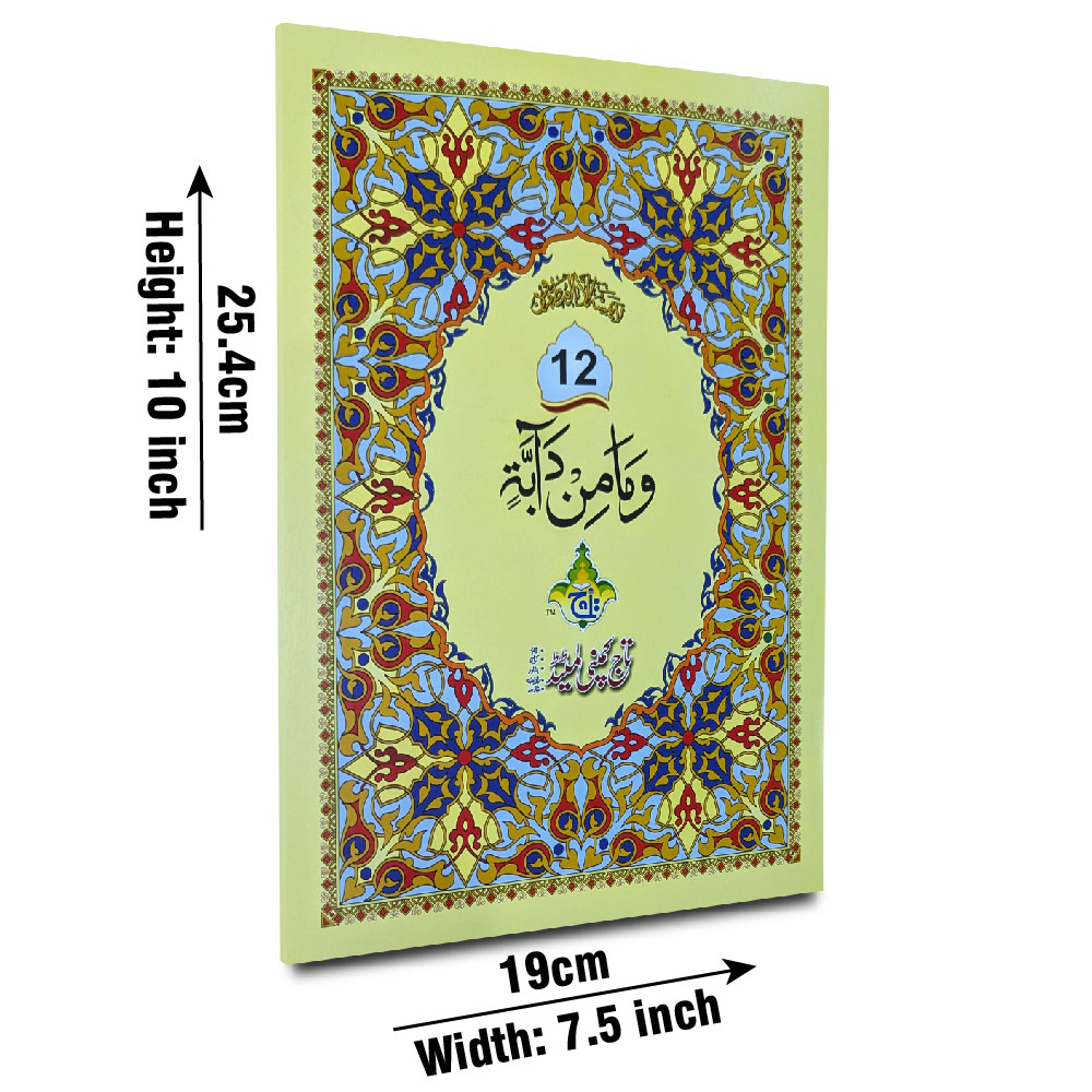 10-12bc para 12 64pages bold
