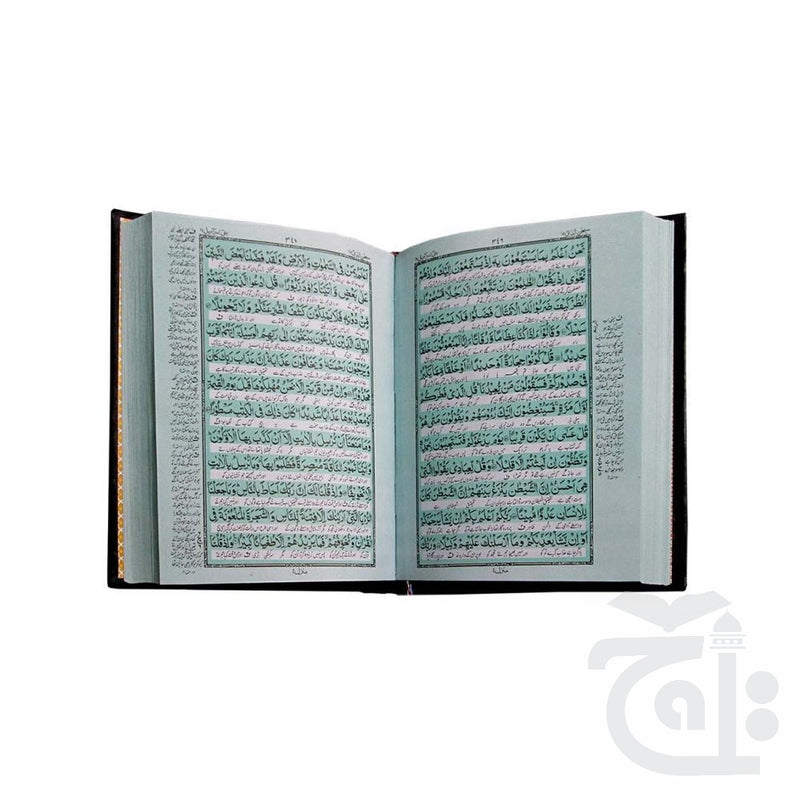 Inner Image Holy Quran(Translated Urdu) 352