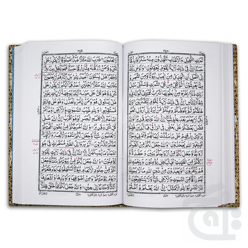 Inner Image Holy Quran Tajweedi 876-2L