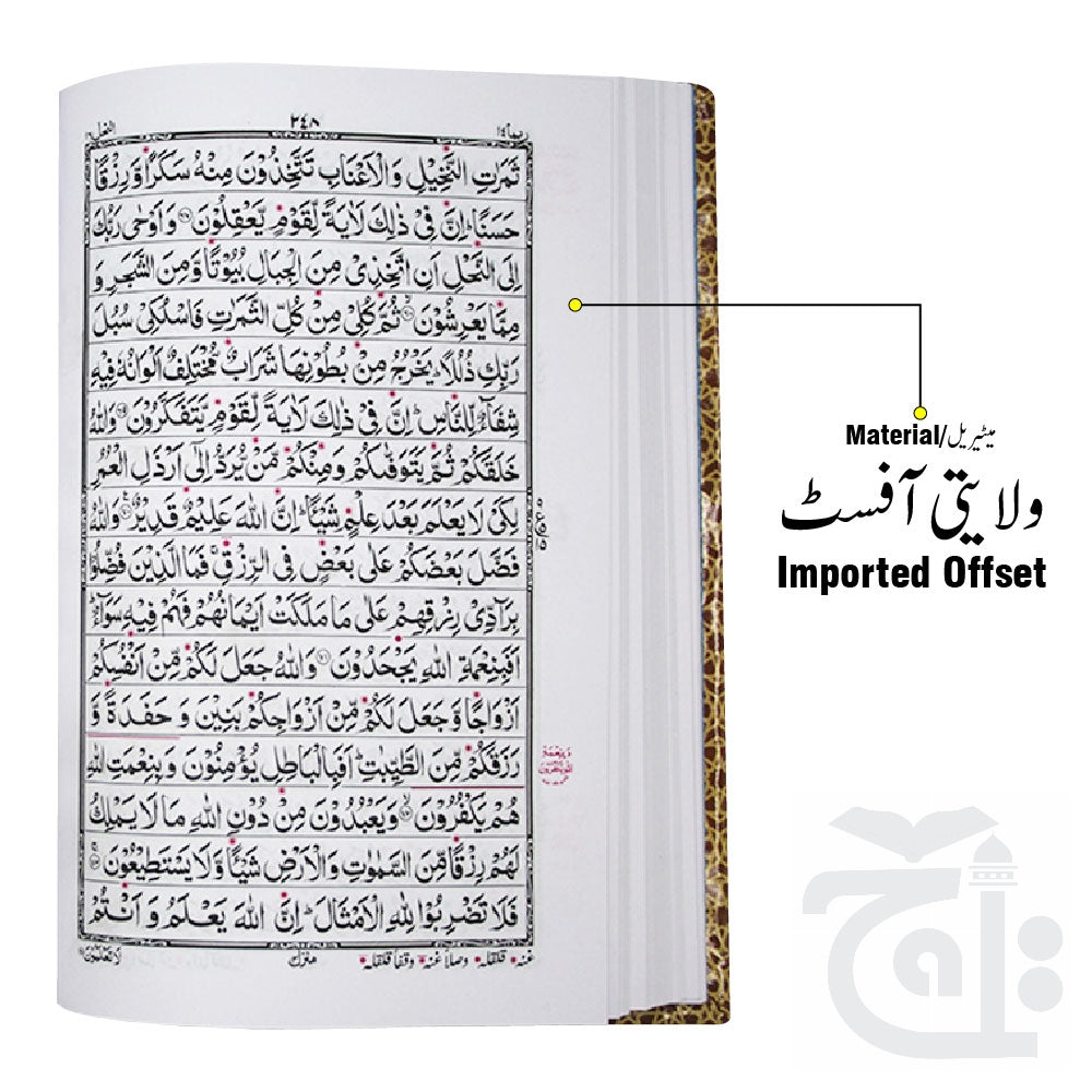 Inner Image Holy Quran Tajweedi 876-2L