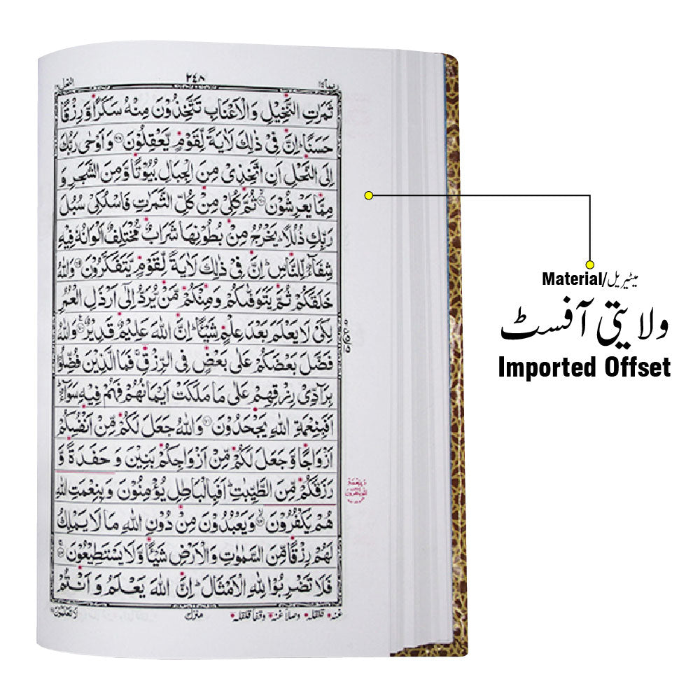 876-2L Holy Quran Tajweedi