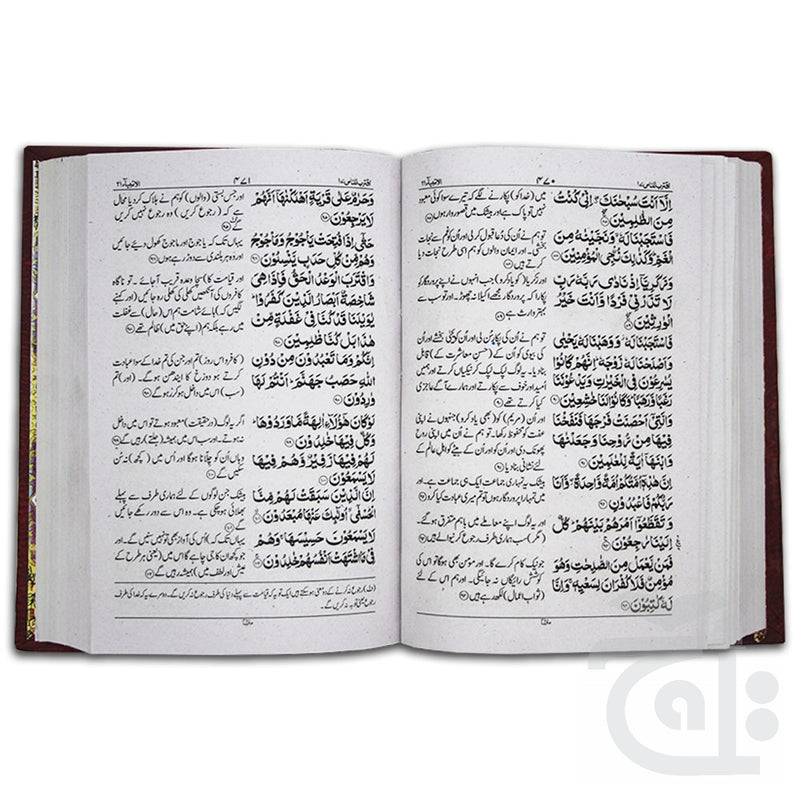 Inner Image Holy Quran(Fath Ul Hameed) 25A