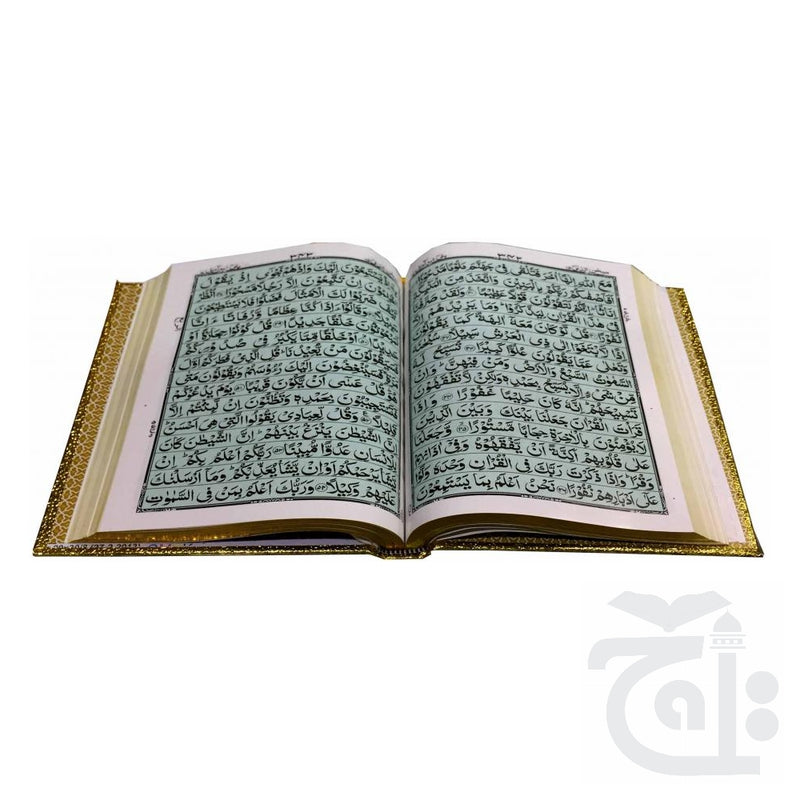 Inner Image Holy Quran Golden(15 Line) 460G