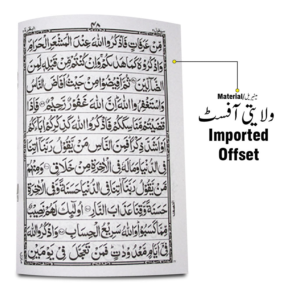376-30CA 30 Paras Set Complete Quran Juz 11 Line Bold Font Persian Script (With Fabric Carry Case)