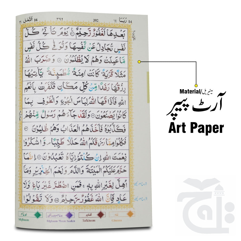 Inner Image Holy Quran Tajweedi 13 Line Hafzi(UK) 824M