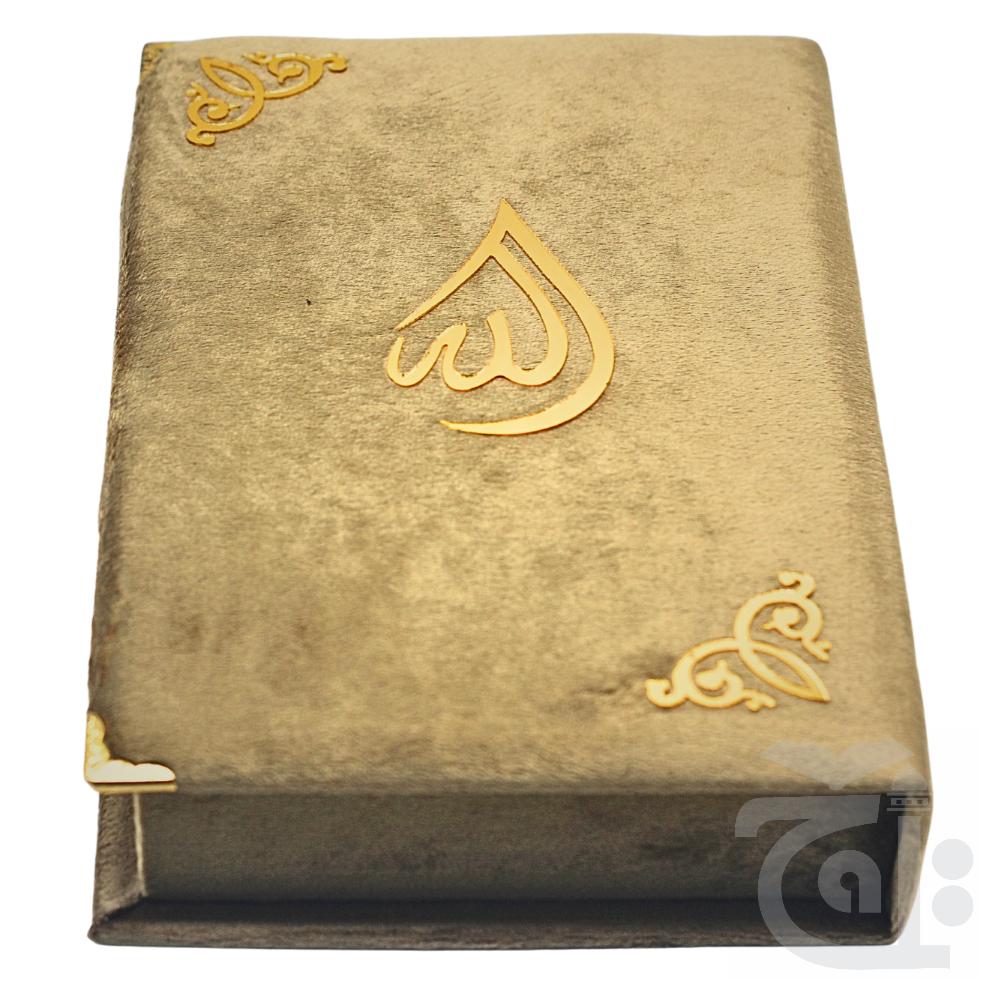 Title Image FANCY QURAN BOX GOLD VELVET FOR 14x21 cm B76V1-GOLD