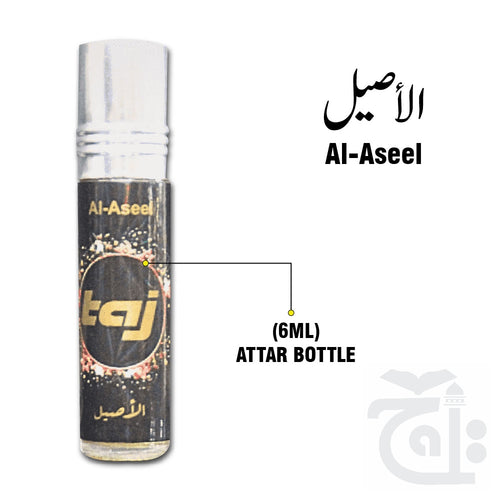 Title Image Aseel R10-Aseel