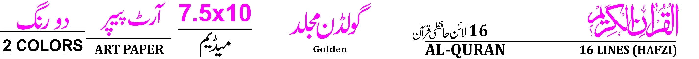 55G Holy Quran Golden Jild