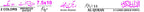 376B Holy Quran(11 LineBold Font)