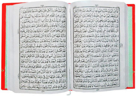 Inner Image Holy Quran(16 Line Hafizi) 75L